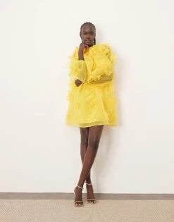 ARRANGE Organza Applique Floral High Neck Trapeze Mini Dress In Yellow For Women -ARANG Clothing Shop 206945940 3